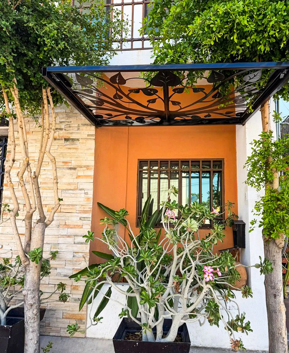 Entrada de casa con techo de celosía metálica de hojas y una planta junto a la puerta